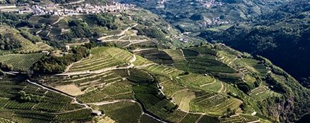 Di 100 in 100, le quote delle vigne Trentodoc