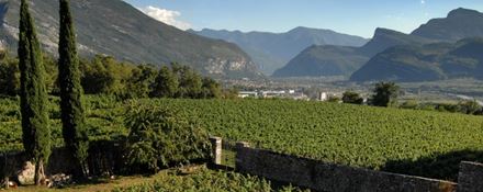 Cena con degustazione verticale, alla scoperta delle nobili tradizioni trentine