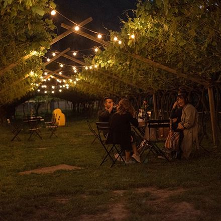 Trentodoc: Art e in vigna