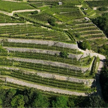 Trentodoc e la viticoltura eroica: ieri, oggi e domani