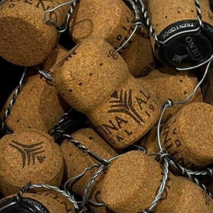Altinum Trentodoc: il tempo che diventa metodo