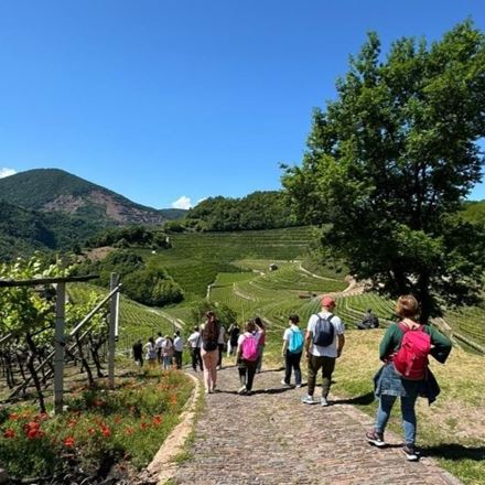 Trekking lungo i sentieri del Trentodoc Oro Rosso