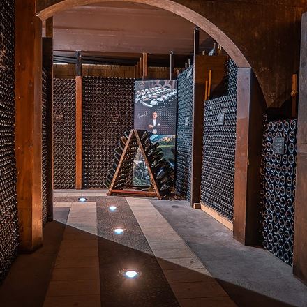 Trentodoc a spasso tra i filari