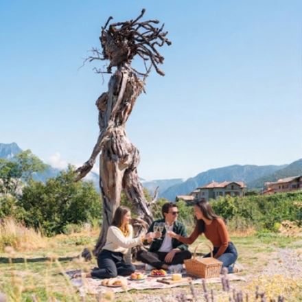 Terra&Cielo picnic - Assapora il Maso