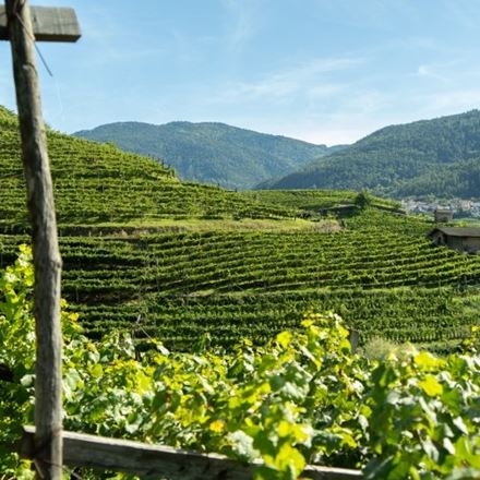 Trentodoc in vigna: Picnic d’autunno alla Tenuta Gottardi